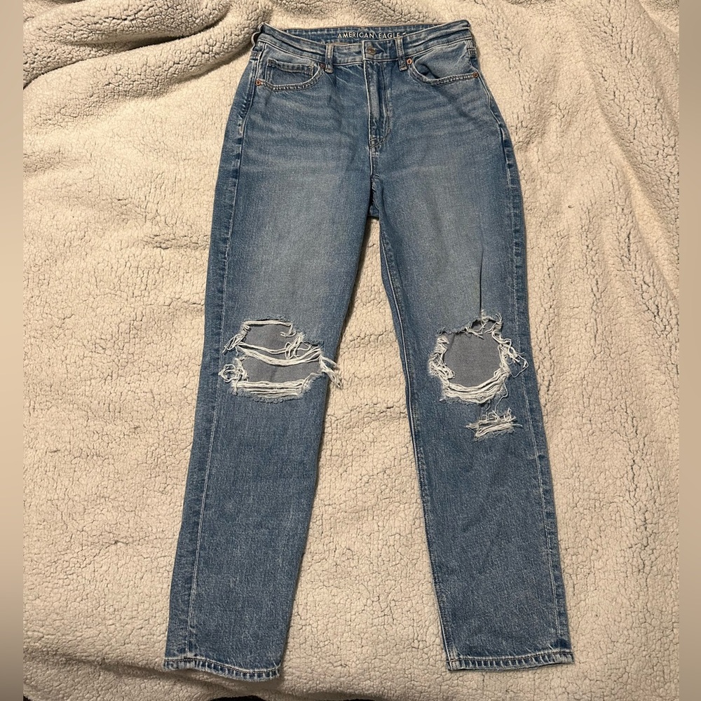 AE Strigid Mom jeans
